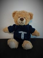 2023-01-26 Teddy's Blue Sweater