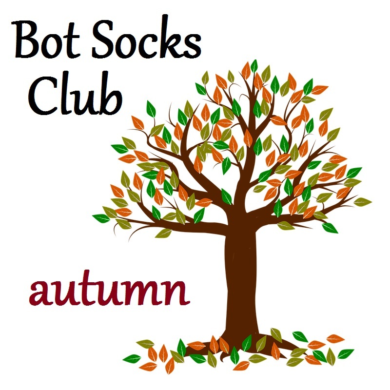 Bot_Socks_Club_-_Herbst_9-11_ENG